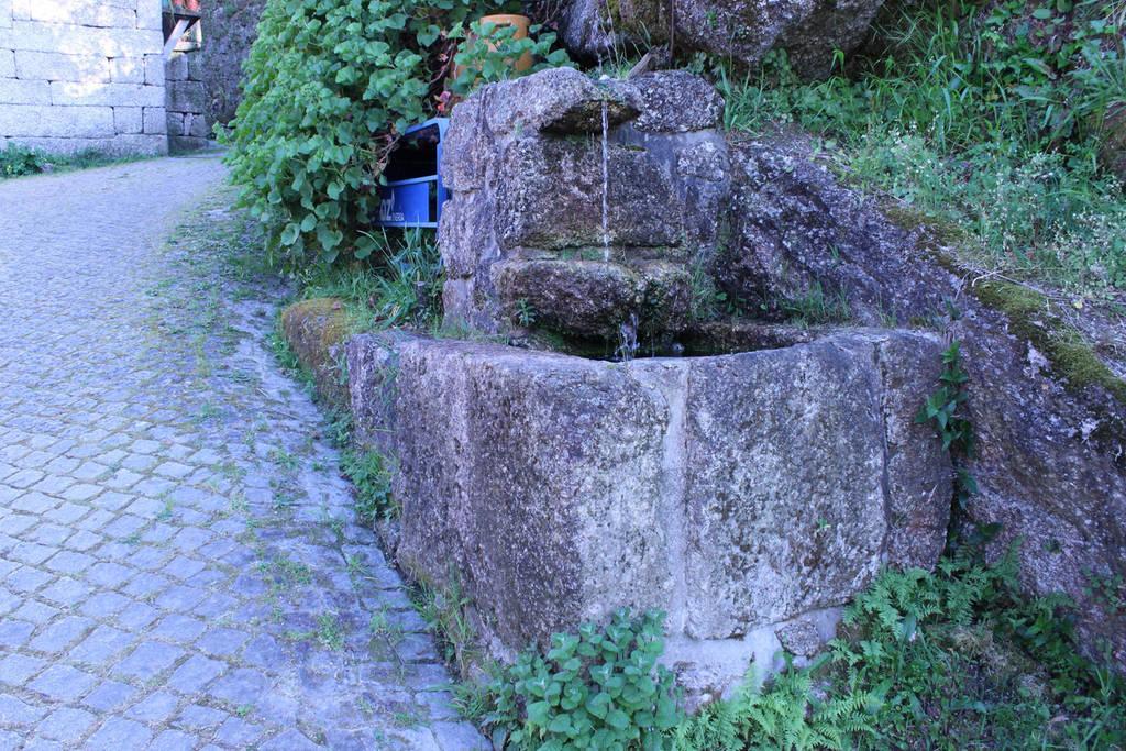 Casa Das Bonecas Vieira do Minho Dış mekan fotoğraf